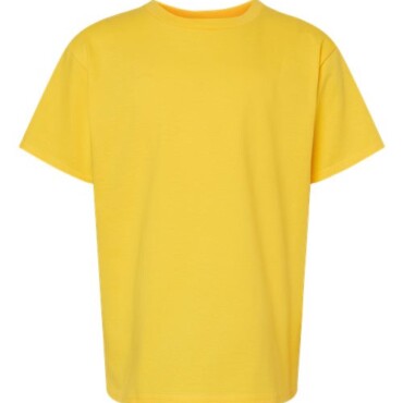 Youth Softstyle® Midweight T-Shirt